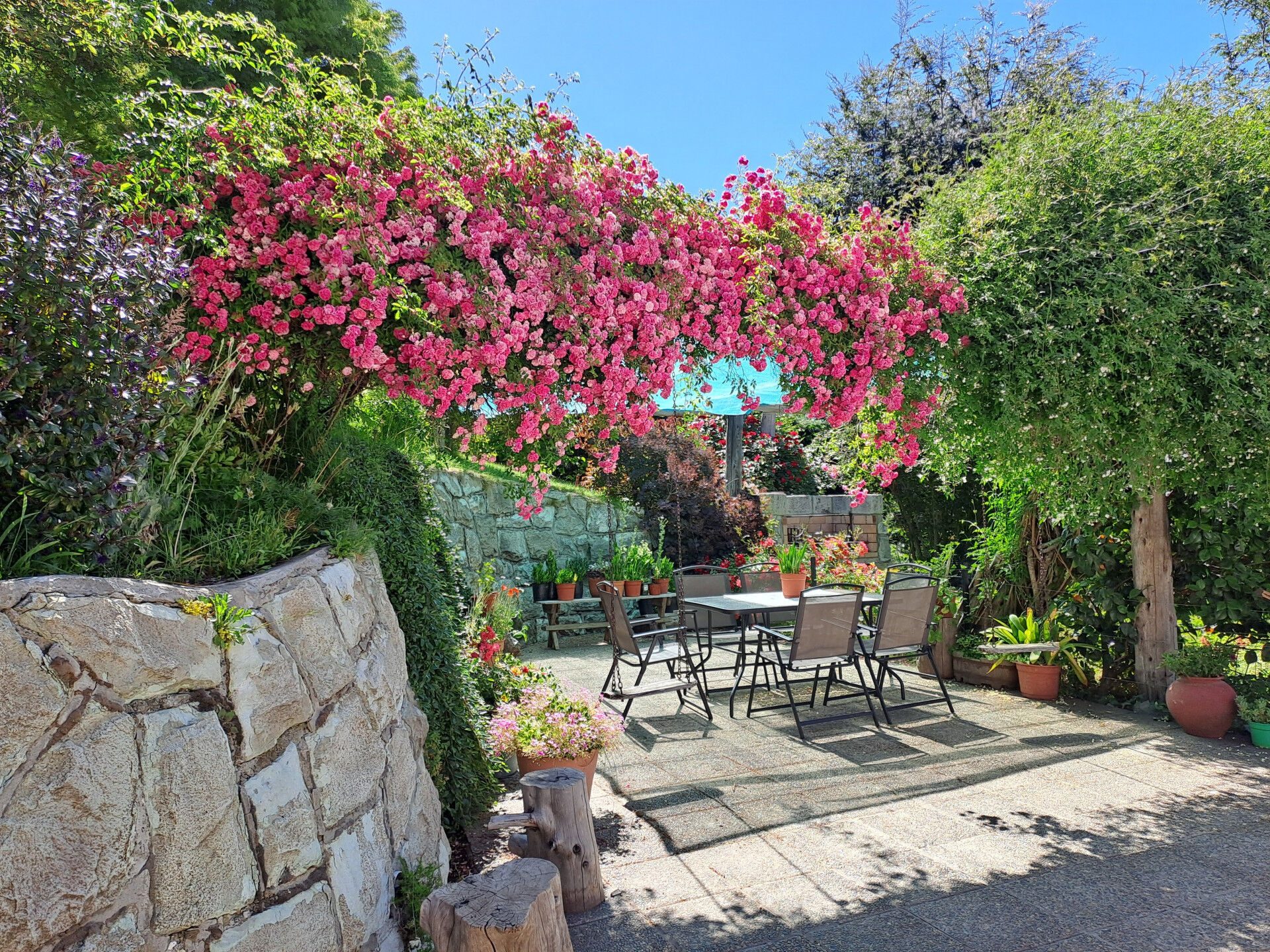 Patio entre flores