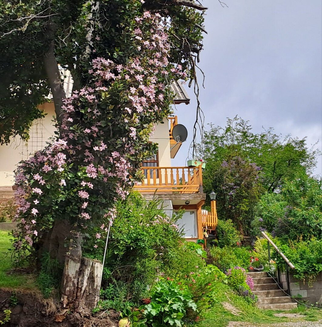 La casa entre rosales